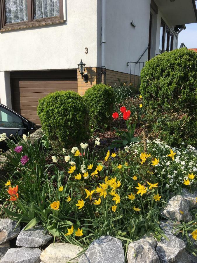 Ferienwohnung Dettum ภายนอก รูปภาพ